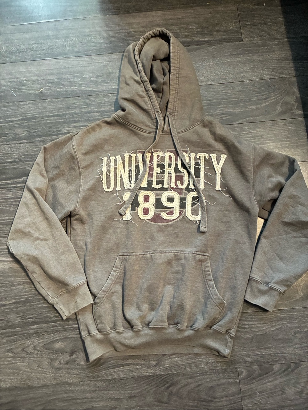 Ouray Men's Gray 'University 1890' Pullover Hoodie